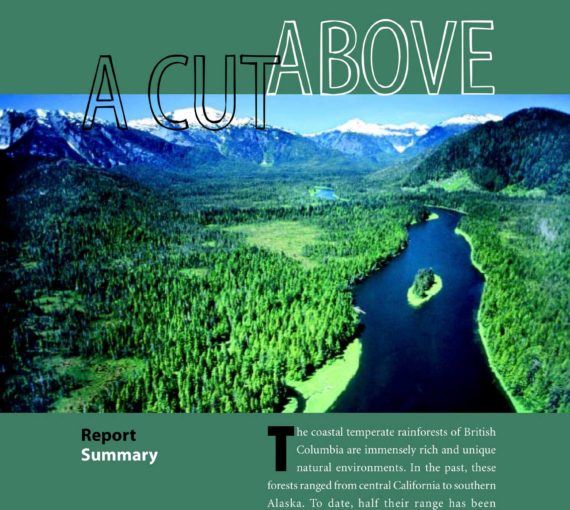 Executive summary report cover