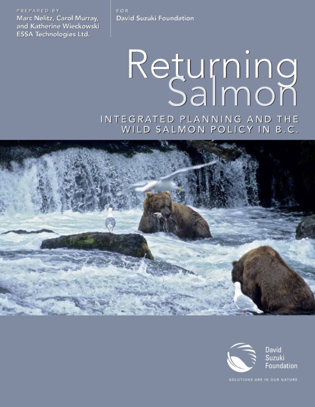 Returning Salmon: Integrated Planning and the Wild Salmon Policy of B.C.