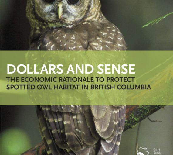 Dollars and Sense: The Economic Rationale to Protect Spotted Owl Habitat in British Columbia