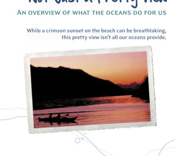 Not Just a Pretty View: An Overview of What the Oceans Do for Us