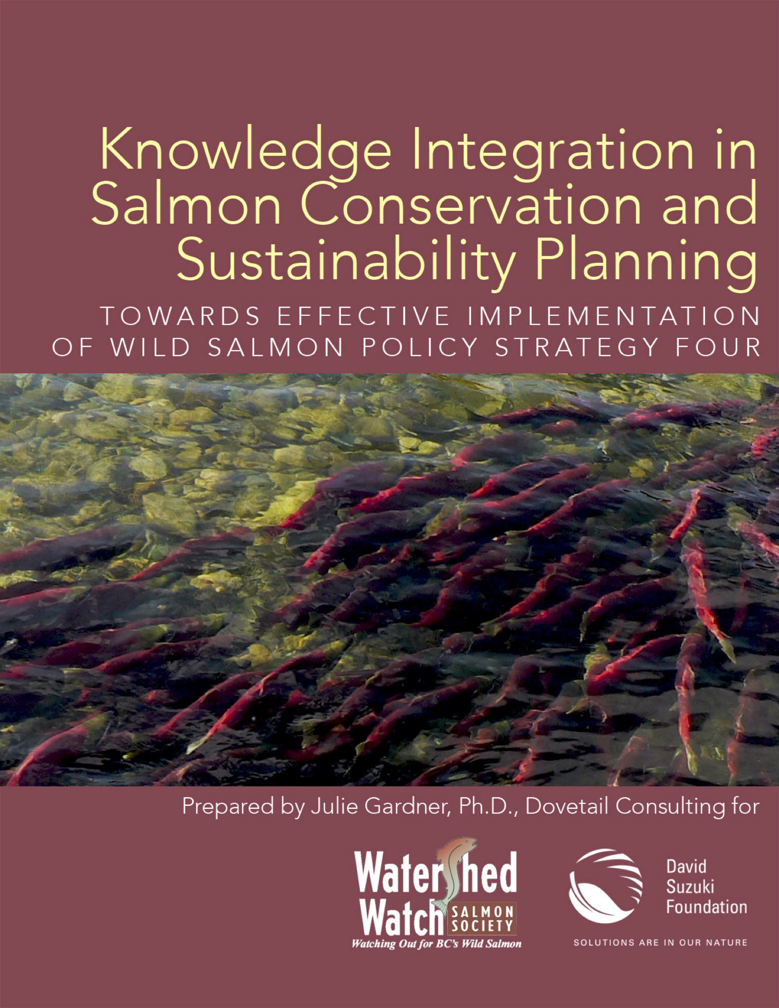 Knowledge Integration in Salmon Conservation and Sustainability Planning: Towards Effective Implementation of Wild Salmon Policy Strategy Four