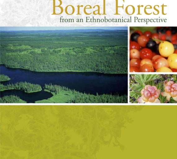 Conservation Value of the North American Boreal Forest from an Ethnobotanical Perspective
