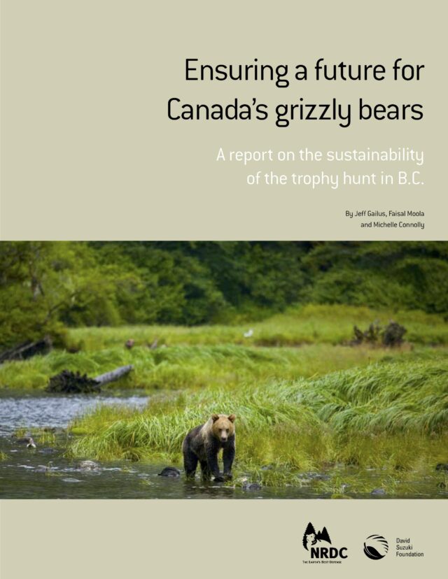 Ensuring a Future for Canada's Grizzly Bears: A Report on the Sustainability of the Trophy Hunt in B.C.