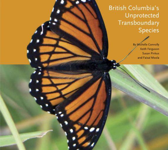 On the Edge: British Columbia's Unprotected Transboundary Species