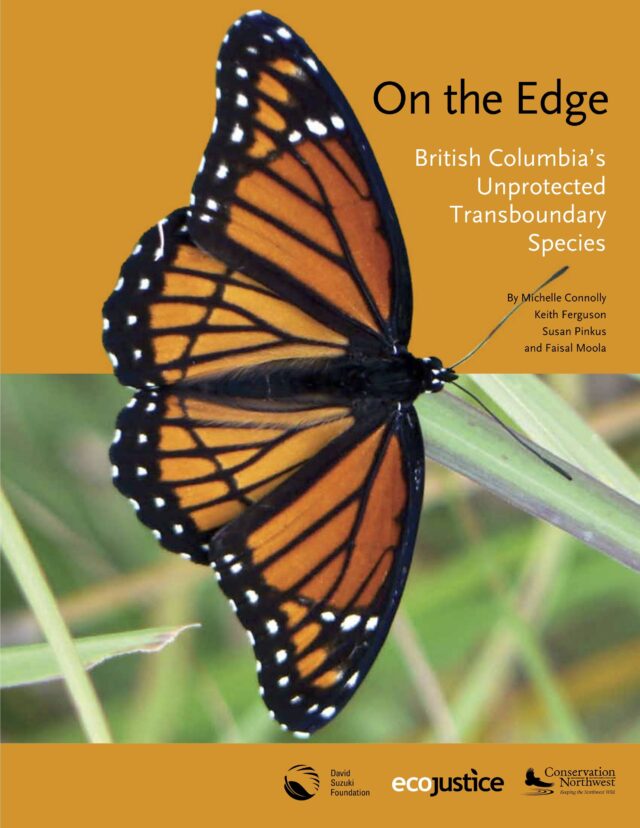 On the Edge: British Columbia's Unprotected Transboundary Species