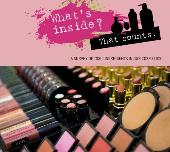 What's Inside? That Counts: A Survey of Toxic Ingredients in Our Cosmetics