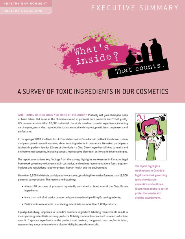 EXECUTIVE SUMMARY — What's Inside? That Counts: A Survey of Toxic Ingredients in Our Cosmetics
