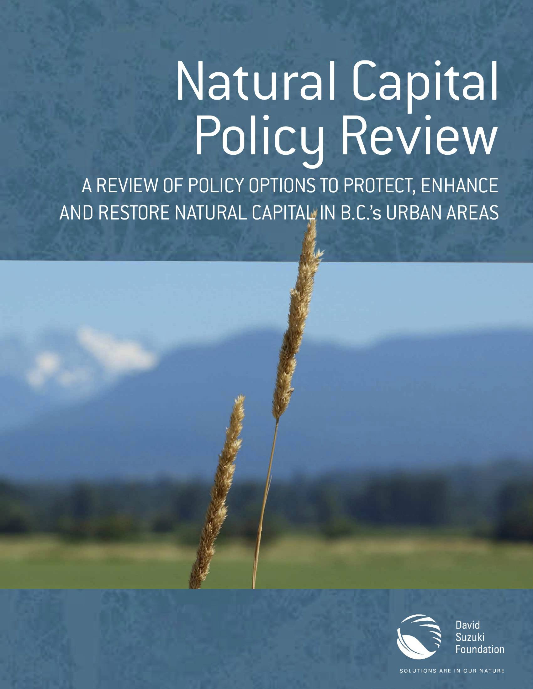Natural Capital Policy Review: A Review of Policy Options to Protect, Enhance and Restore Natural Capital in B.C.'s Urban Areas
