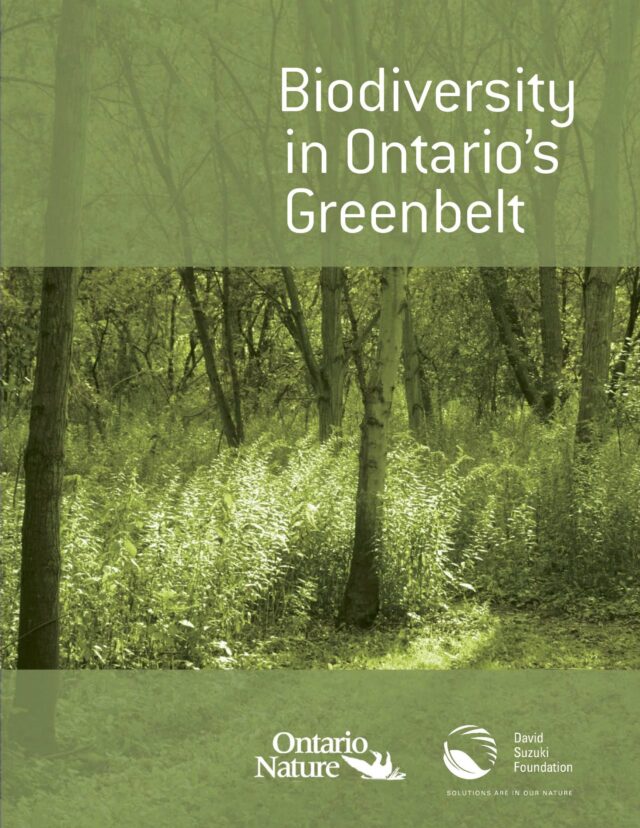 Biodiversity in Ontario's Greenbelt