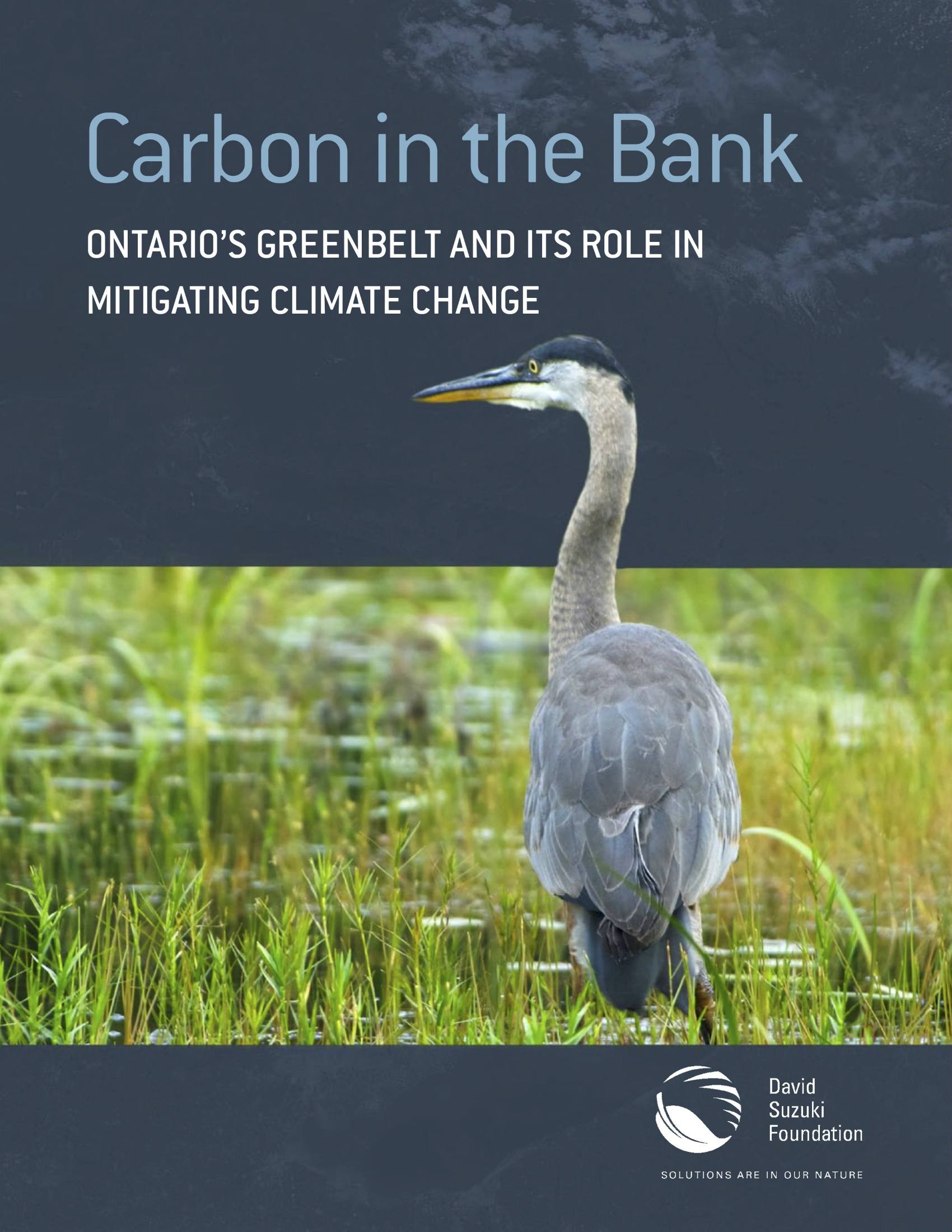 Carbon in the Bank: Ontario's Greenbelt and Its Role in Mitigating Climate Change