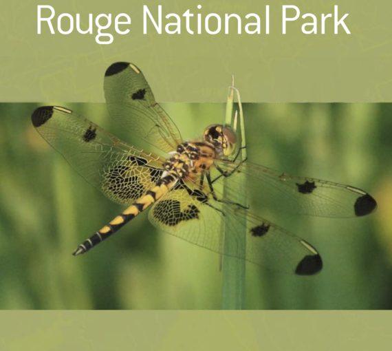 Canada's Wealth of Natural Capital: Rouge National Park
