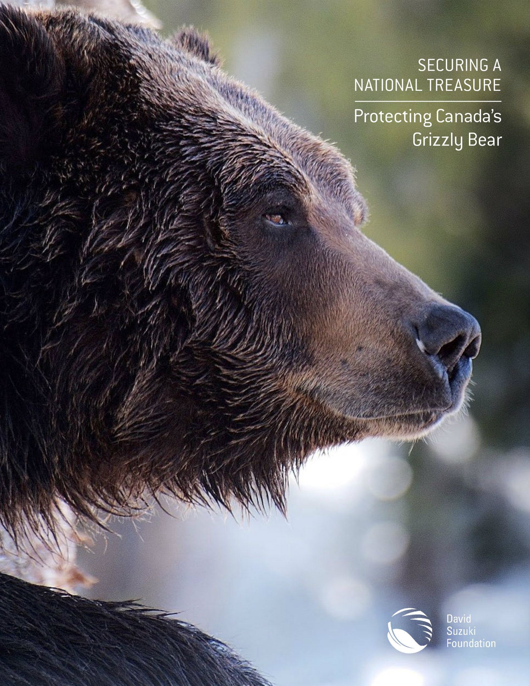 Securing a National Treasure: Protecting Canada's Grizzly Bear