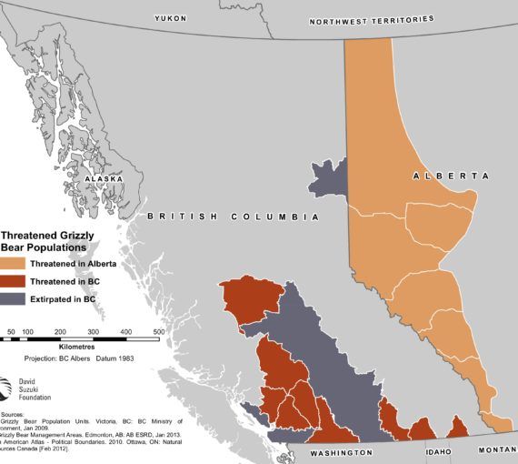 MAP — Threatened grizzly bear populations