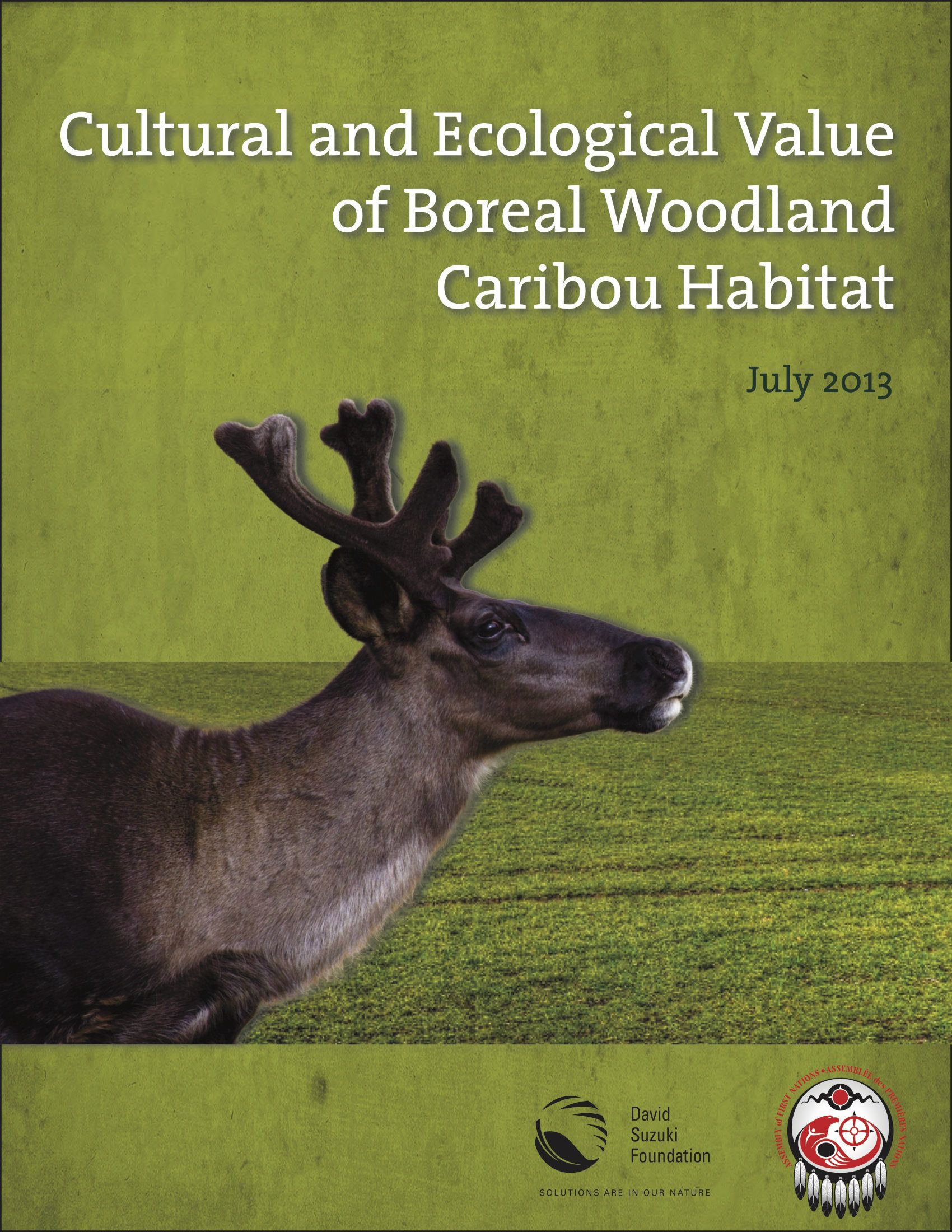 Cultural and Ecological Value of Boreal Woodland Caribou Habitat
