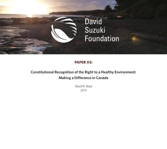 Constitutional Recognition of the Right to a Healthy Environment: Making a Difference in Canada