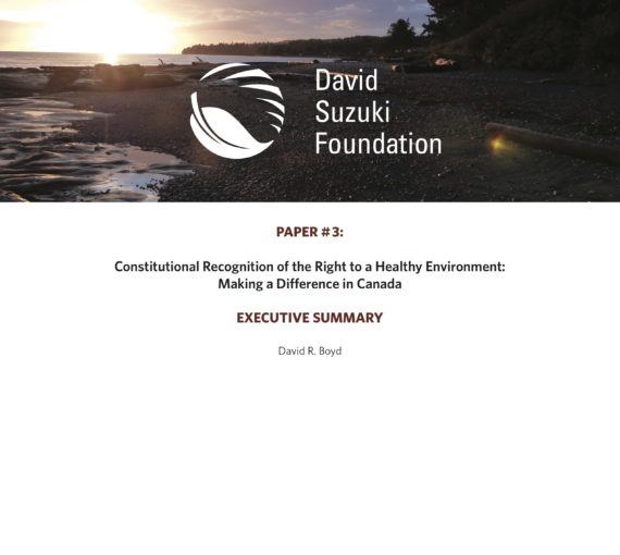 EXECUTIVE SUMMARY — Constitutional Recognition of the Right to a Healthy Environment: Making a Difference in Canada