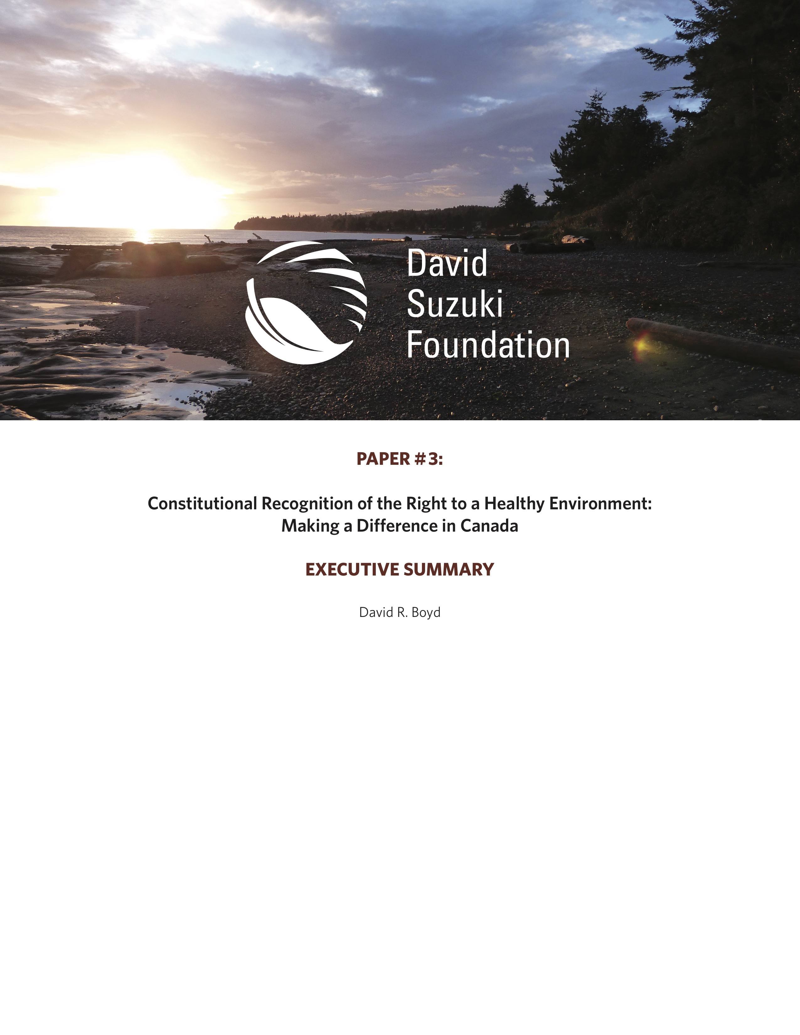 EXECUTIVE SUMMARY — Constitutional Recognition of the Right to a Healthy Environment: Making a Difference in Canada
