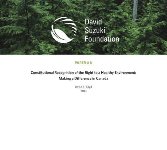 The Importance of Constitutional Recognition of the Right to a Healthy Environment