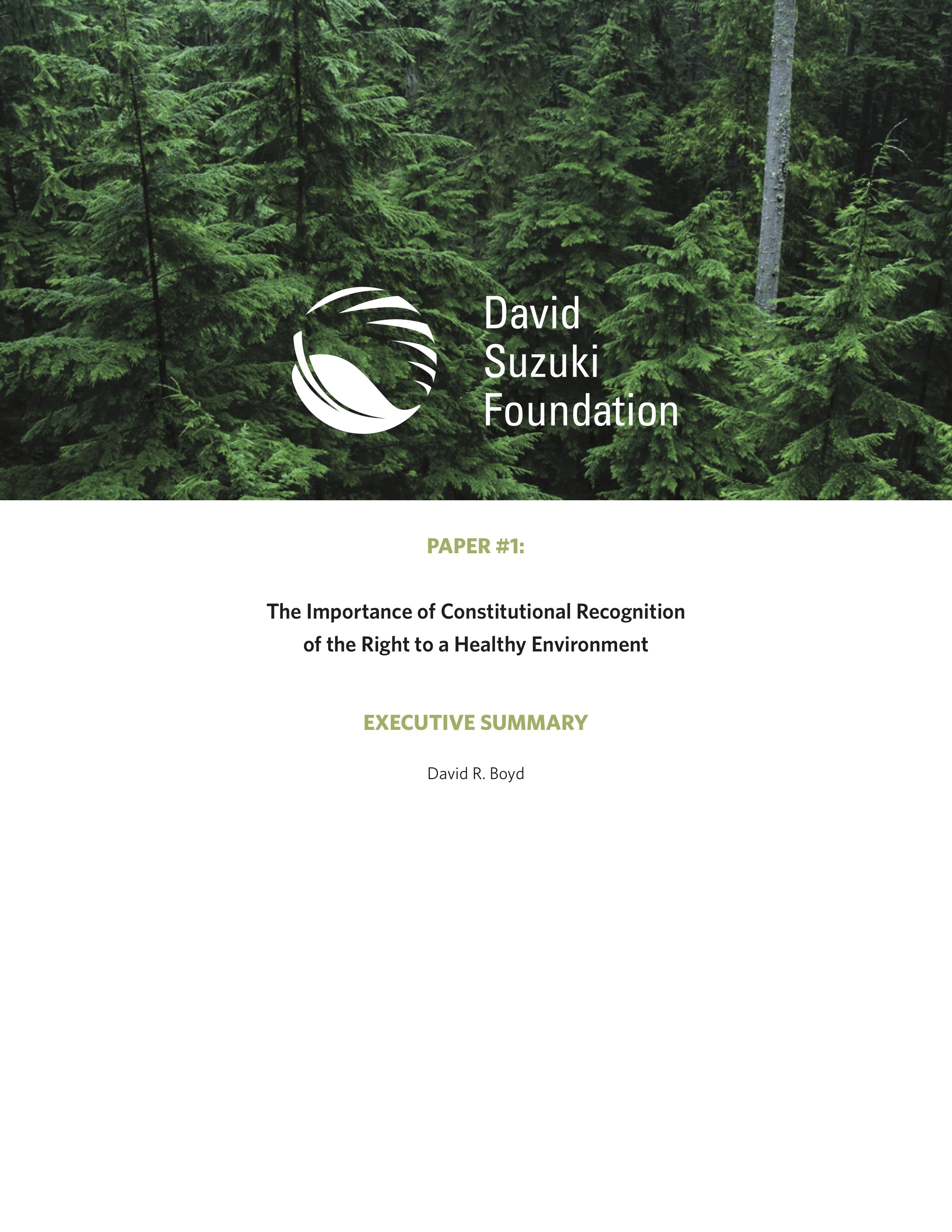 EXECUTIVE SUMMARY — The Importance of Constitutional Recognition of the Right to a Healthy Environment