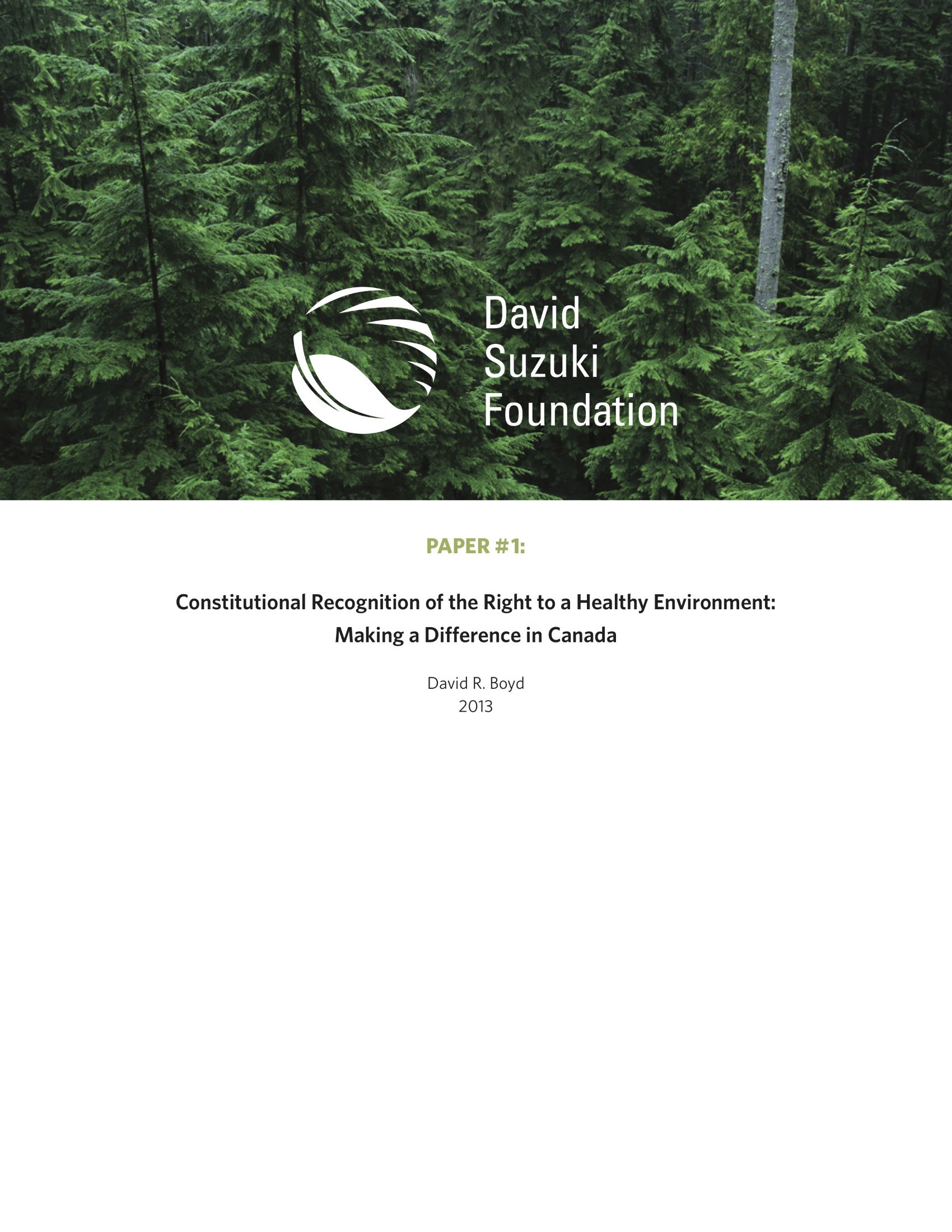 The Importance of Constitutional Recognition of the Right to a Healthy Environment