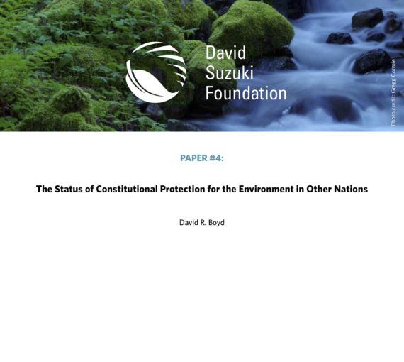 The Status of Constitutional Protection for the Environment in Other Nations