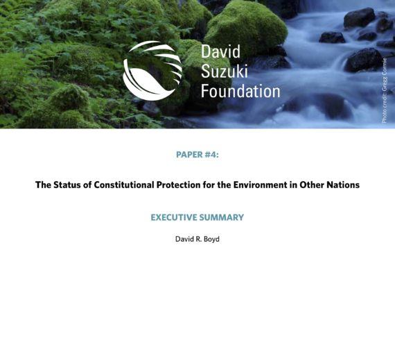 EXECUTIVE SUMMARY — The Status of Constitutional Protection for the Environment in Other Nations