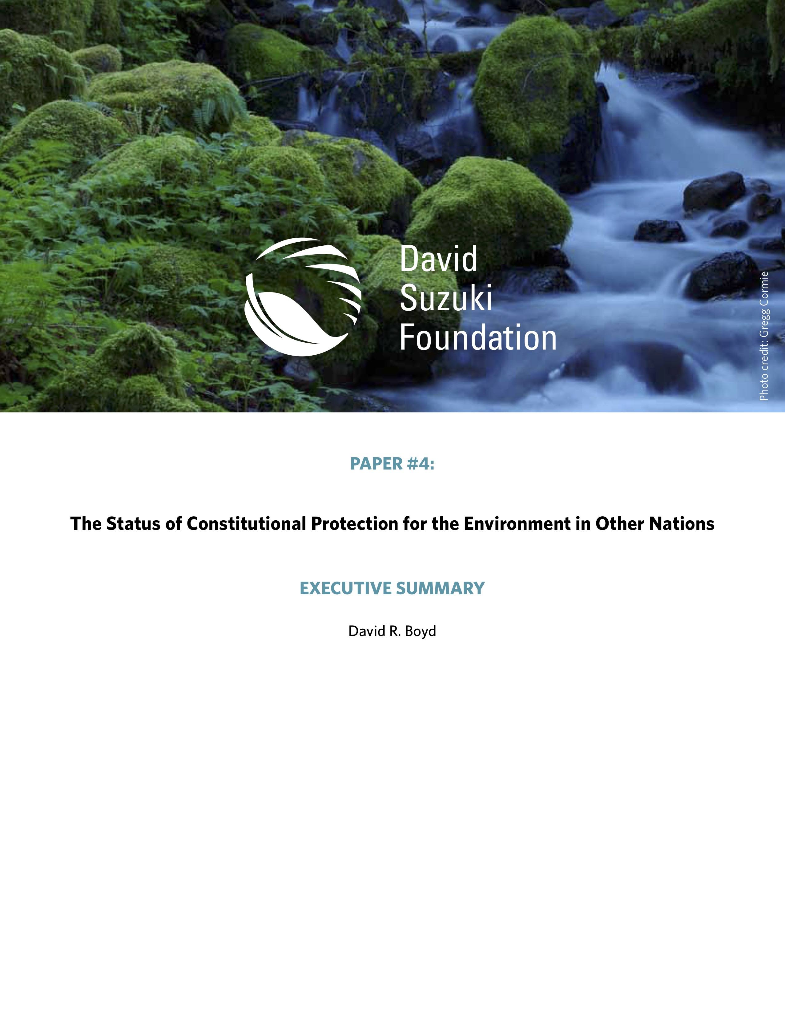 EXECUTIVE SUMMARY — The Status of Constitutional Protection for the Environment in Other Nations