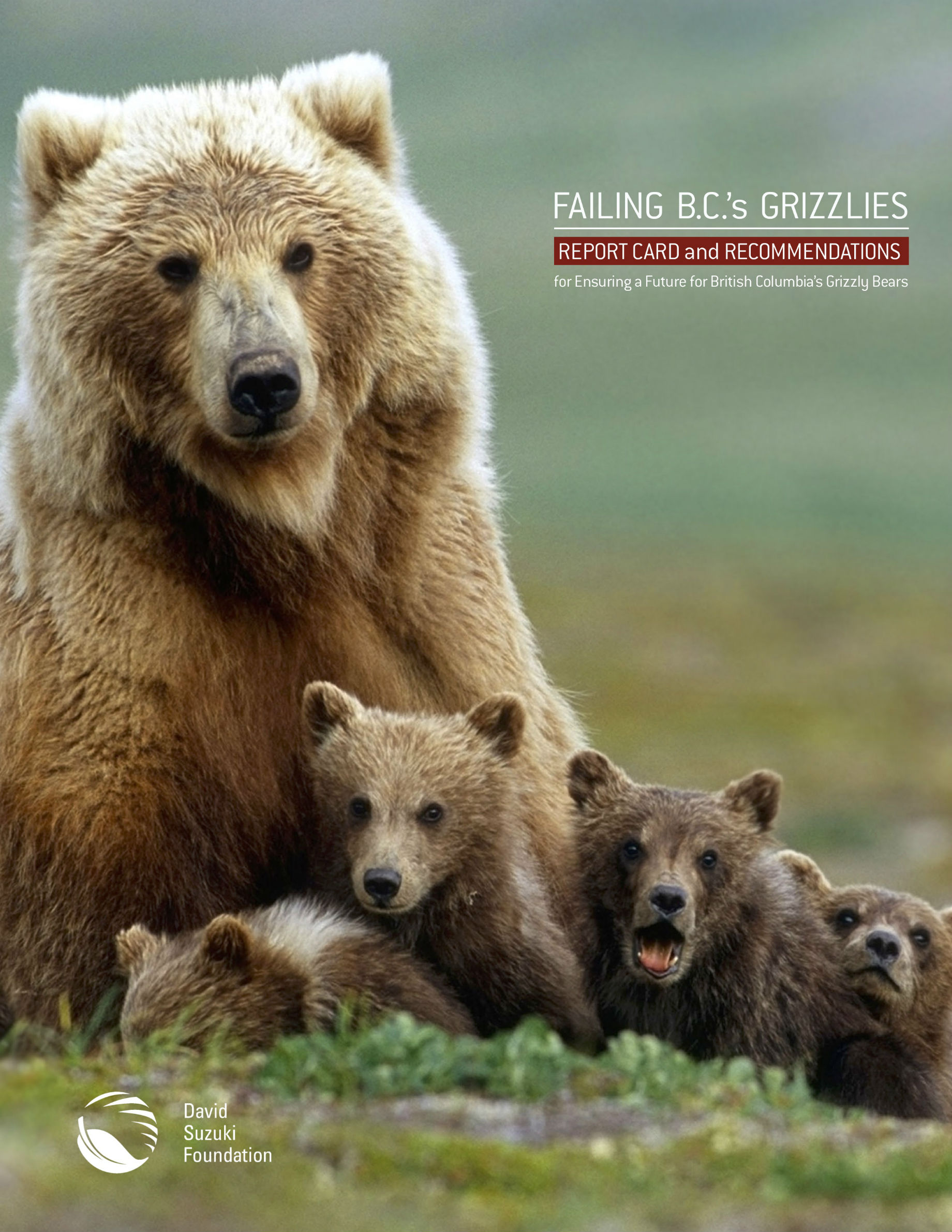 Failing B.C.’s Grizzlies: Report Card and Recommendations for Ensuring a Future for British Columbia’s Grizzly Bears