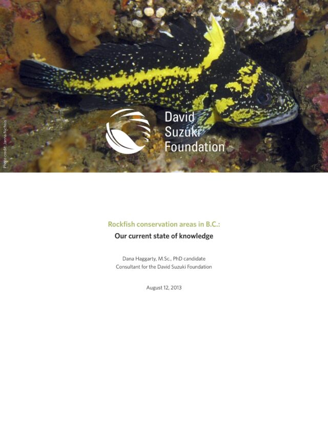Rockfish Conservation Areas in B.C.: Our Current State of Knowledge