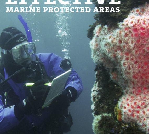 Committing to Effective Marine Protected Areas