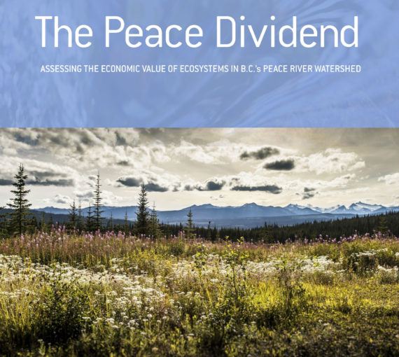 The Peace Dividend: Assessing the Economic Value of Ecosystems in B.C.’s Peace River Watershed