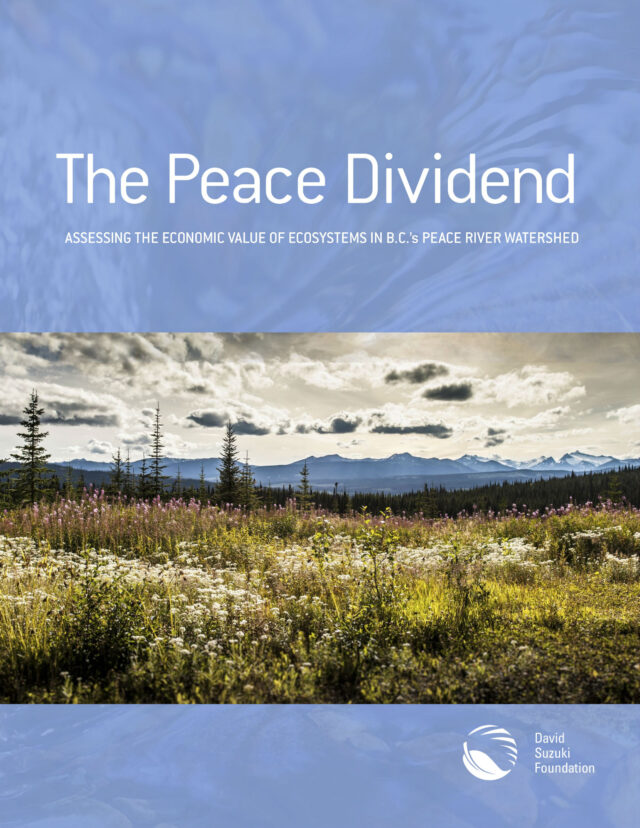 The Peace Dividend: Assessing the Economic Value of Ecosystems in B.C.’s Peace River Watershed