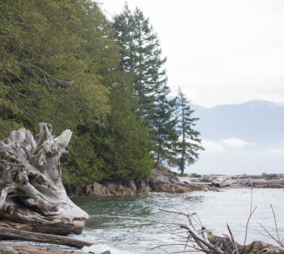 A woman stands at the shore of Howe Sound