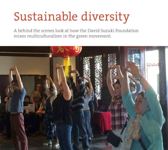 Sustainable diversity cover