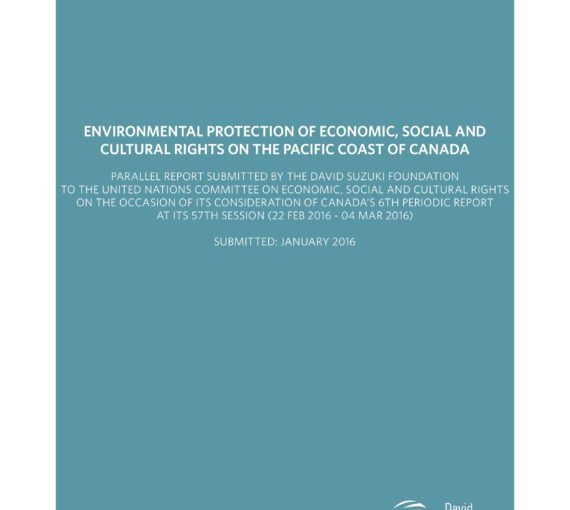 Environmental Protection of Economic, Social and Cultural Rights on the Pacific Coast of Canada cover