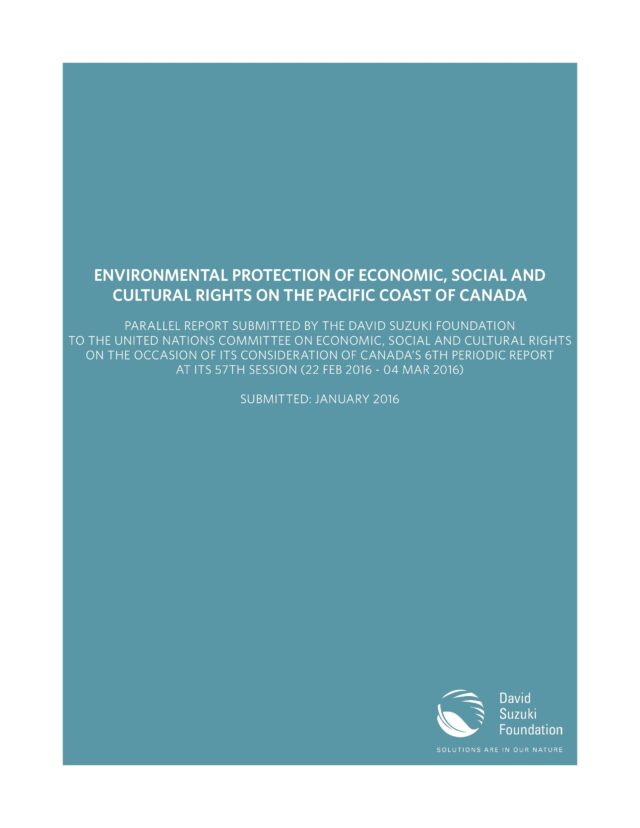 Environmental Protection of Economic, Social and Cultural Rights on the Pacific Coast of Canada cover
