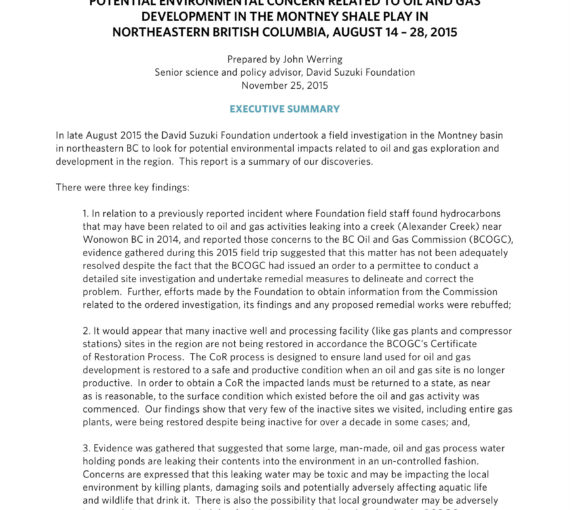 Investigation by the David Suzuki Foundation into Issues of Potential Environmental Concern Related to Oil and Gas Development in the Montney Shale Play in Northeastern British Columbia, August 14 – 28, 2015 cover
