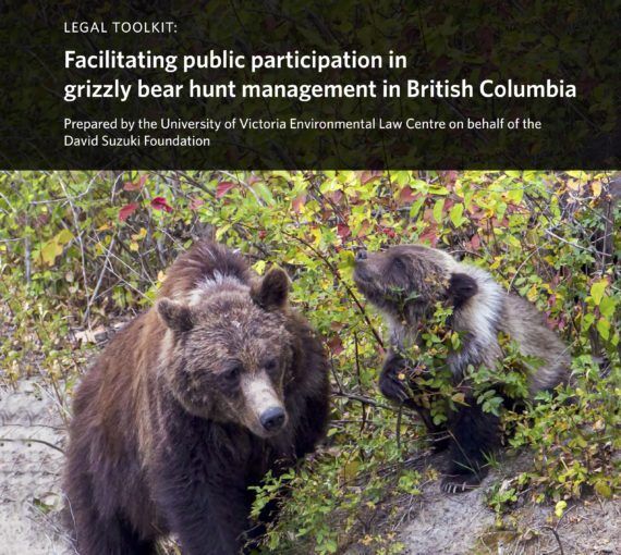 Legal Toolkit: Facilitating Public Participation in Grizzly Bear Hunt Management in British Columbia
