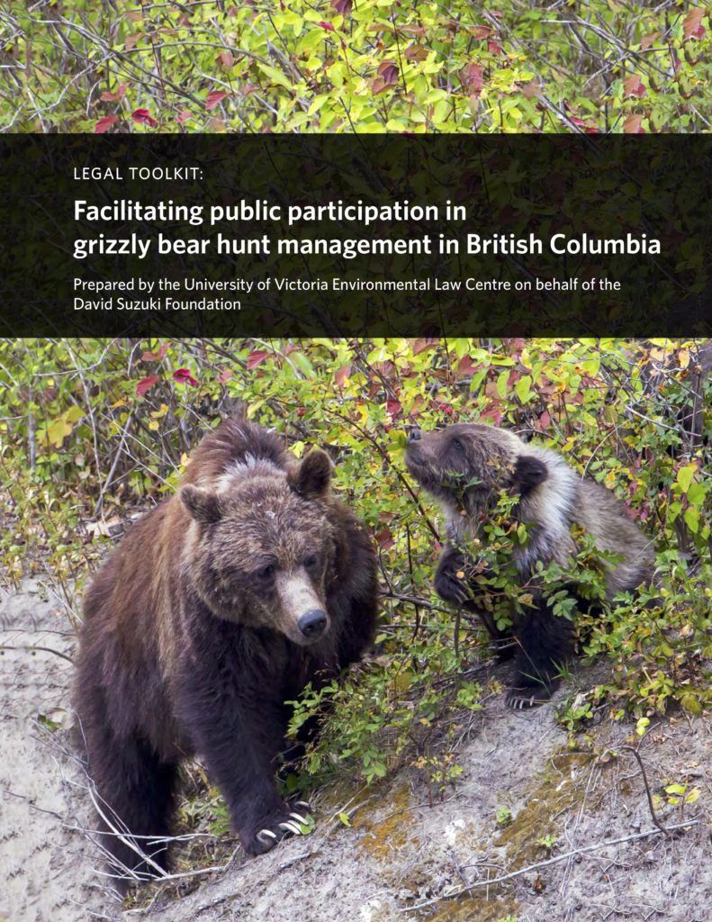 Legal Toolkit Facilitating Public Participation in Grizzly Bear Hunt
