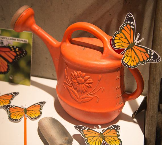 An orange watering can and paper monarch butterflies,
