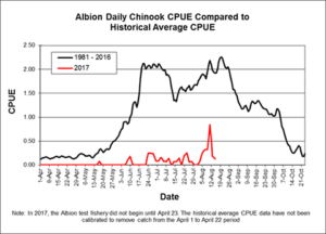 Chart indicating Albion daily chinook CPUE compared to historical average CPUE