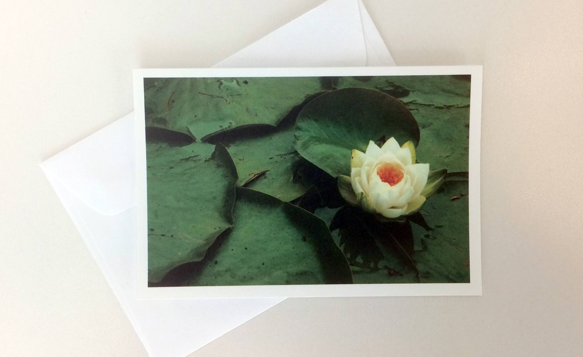 Donate in memory: water lily print card.