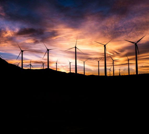 A picture of a wind farm at sunset