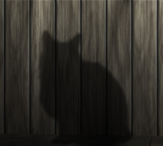 The silhouette of a cat on a yard fence.