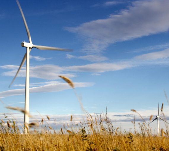 Wind farm in Medicine Hat, Alberta