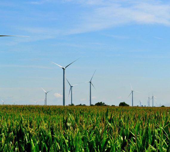 Illinois Wind Farm