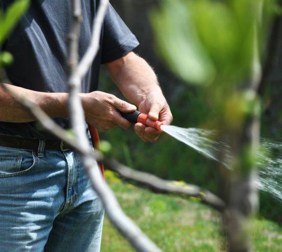 Man watering garden with hose