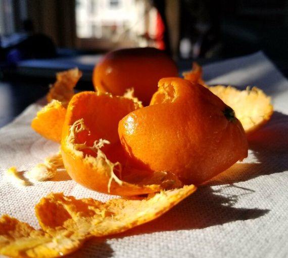 Orange peels on table