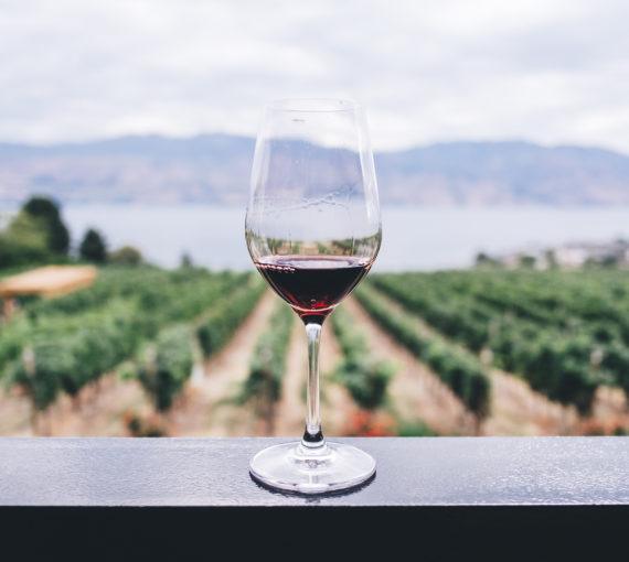 A glass of red wine overlooking a winery.