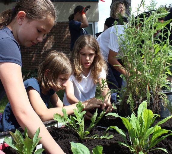 Butterflyway Rangers at St. Anthony Catholic Elementary School